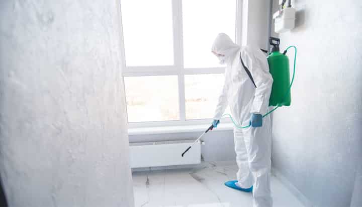 We provide the highest-quality mold inspection, testing, and removal services in the Fresno, California area.
